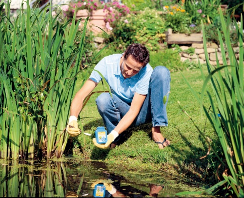 Mit FadenalgenFrei wird der Teich wieder klar und sauber. (Foto: epr/Neudorff)