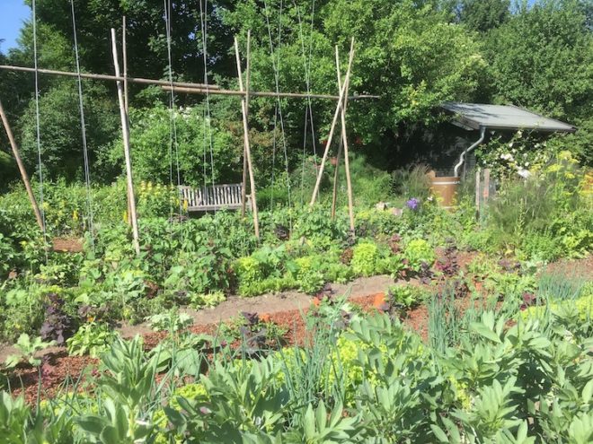 Eine richtige Garten Bewässerung ist gar nicht so schwer