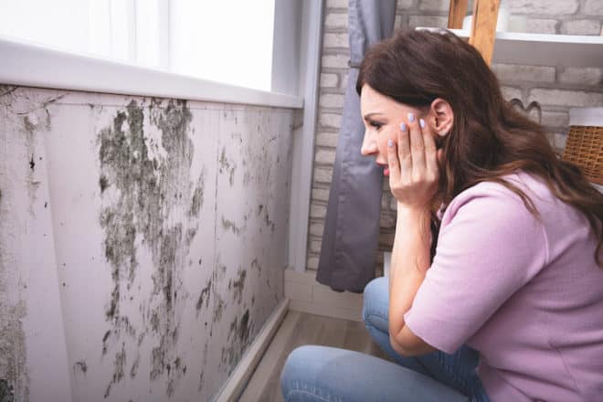 Schimmelpilz in der Wohnung kann gesundheitliche Schäden verursachen. 