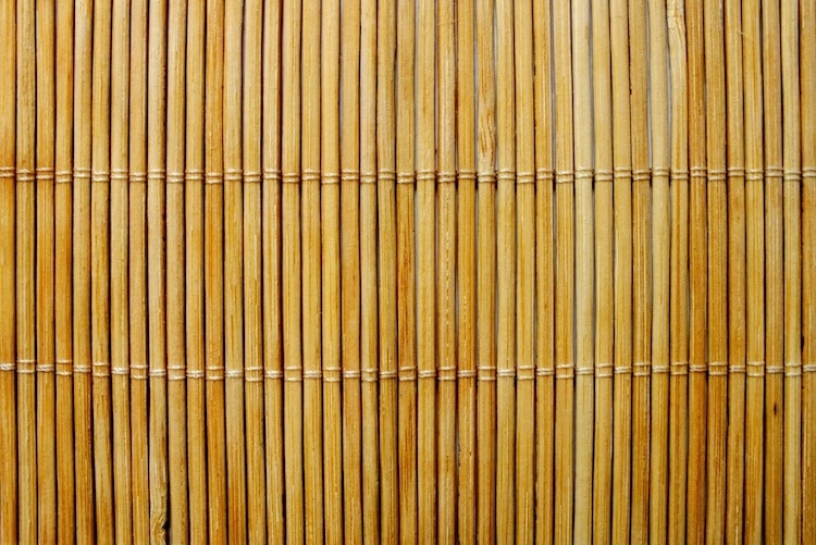 2022-10-31-Bambus