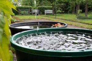 Wassertanks haben, gegenüber herkömmlichen Regenwassertonnen, einige Vorteile. 