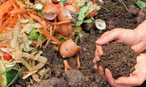 Kompost selber herstellen - Ist das eine gute Alternative zu den oft teuren Bio Erden für Obst- und Gemüse?