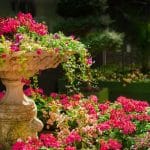 2023-07-24-Gartenabfall