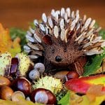 2023-09-20-Herbst